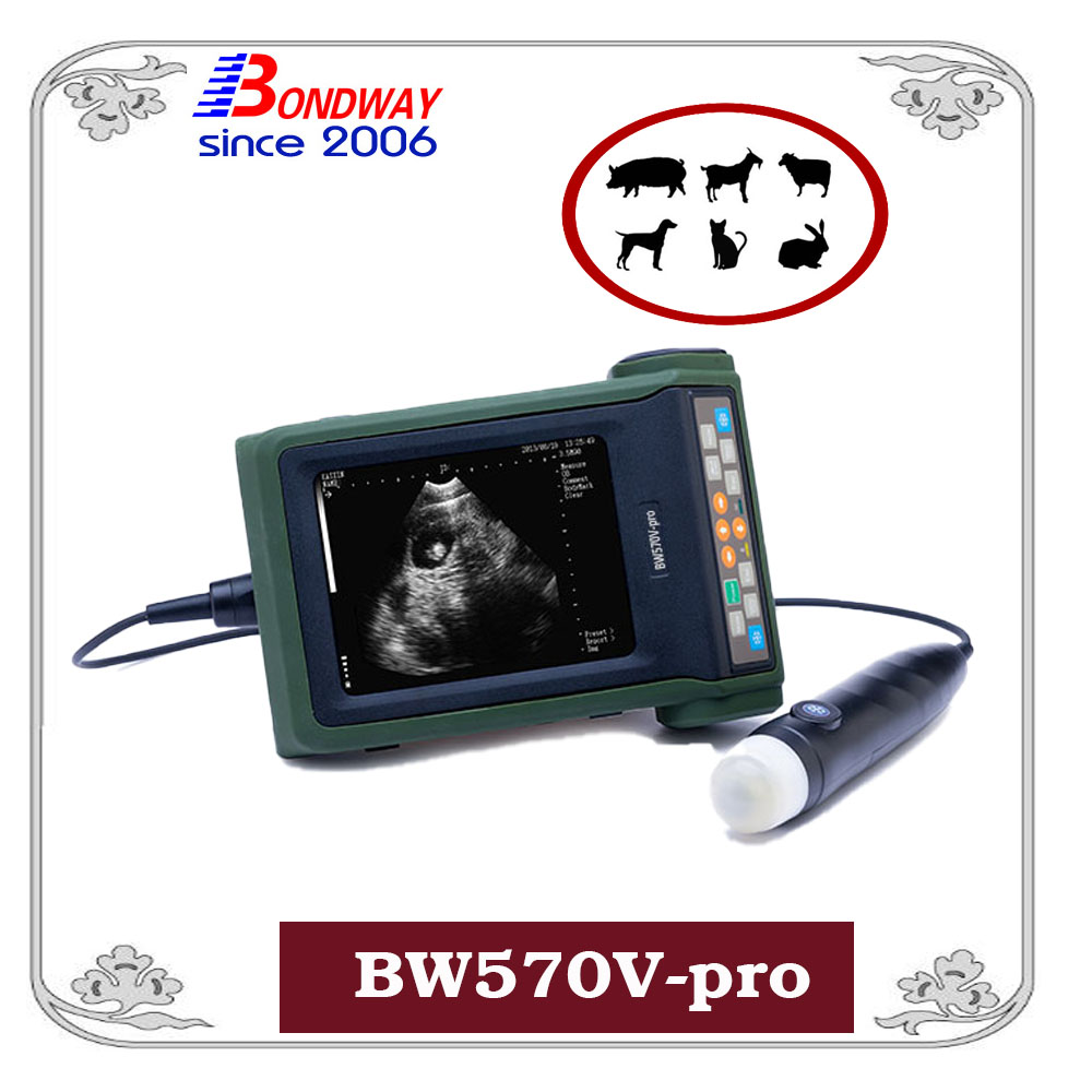 Digital veterinary ultrasound scanner for farm animals－ultrasound for pig, goat and sheep