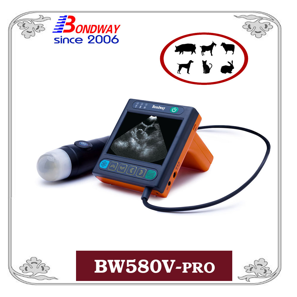 Digital veterinary ultrasound scanner, vet ultrasound