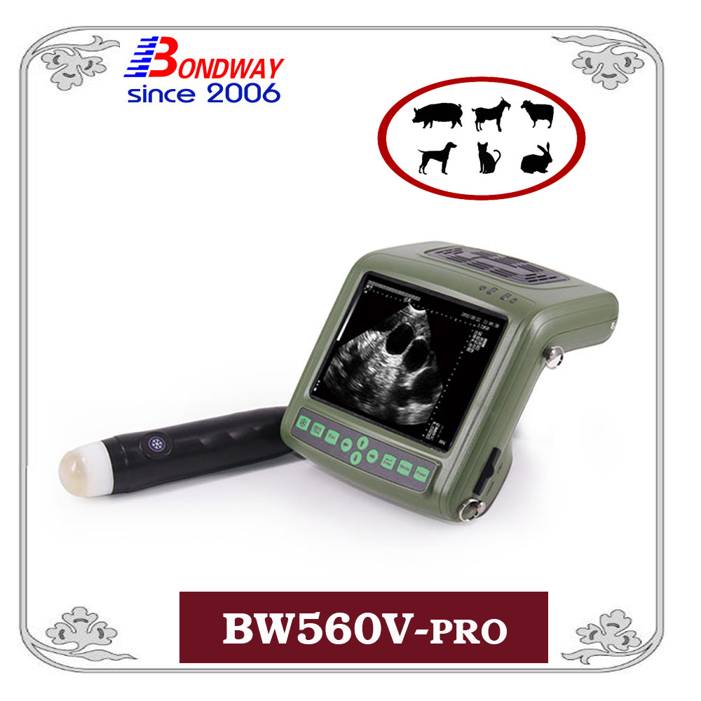 Veterinary ultrasound machine for small animals, pets, companion animals