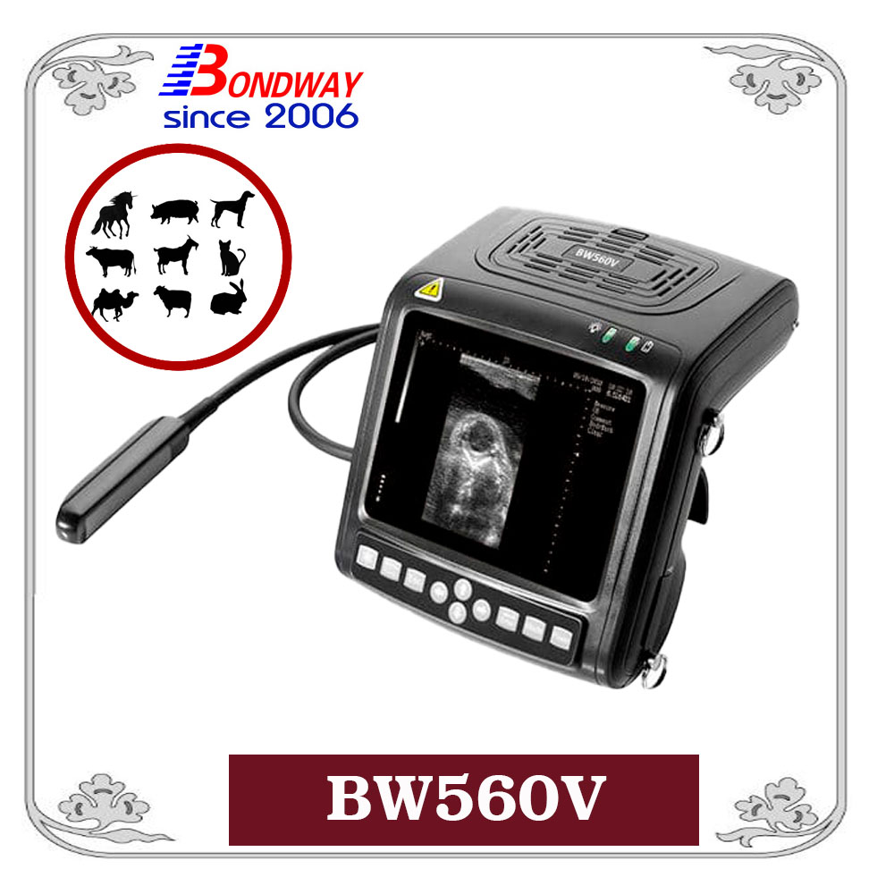 BW560V Digital Palmtop veterinary ultrasound scanner 