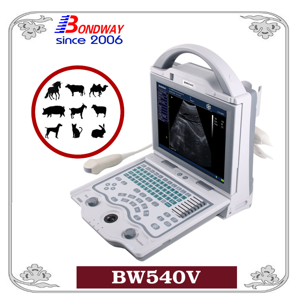 BW540V Veterinary ultrasound machine for equine, bovine,camel