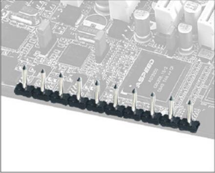 LP332J-5.00 Multi Pin Connector