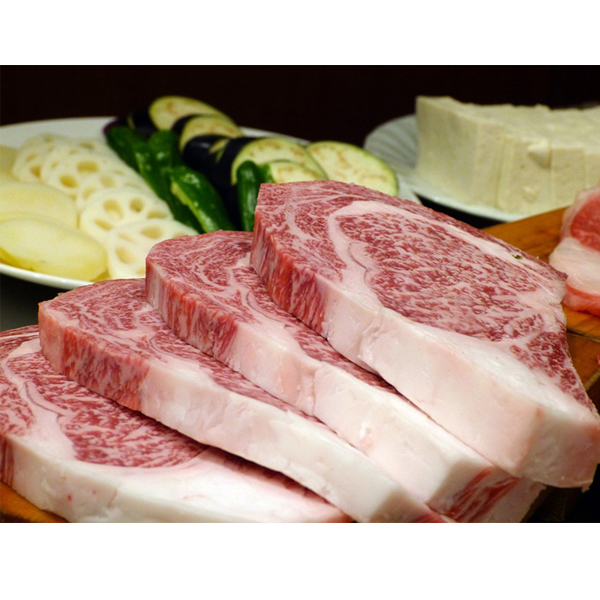 Meat 2D Dicer Supplier: Hiwell's Superior Cutting Solutions