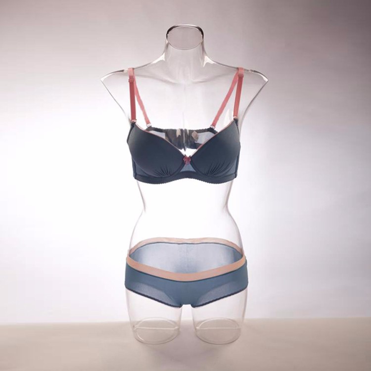 Female PC Lingerie Transparent Torso Underwear Plastic Half Body Torso Mannequin Torso Bust Transparent(PL Series Plastic Transparent Torso Collection)