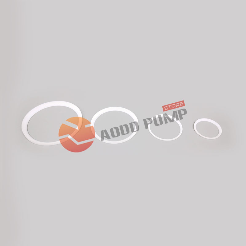 Sandpiper Seal PTFE 720-038-600 720.038.600