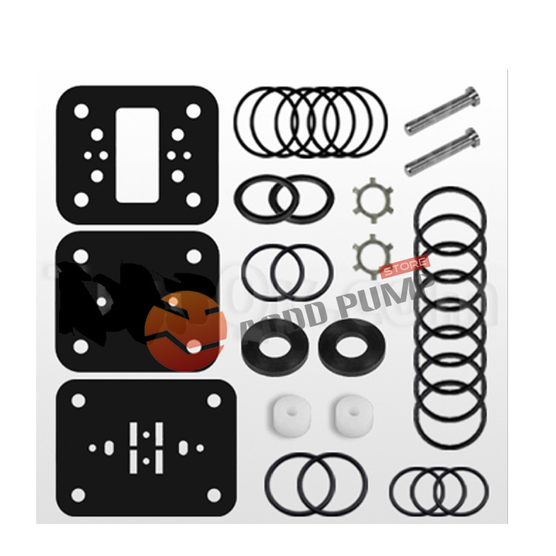 Air End Kit B476-322-000 B476.322.000 Fits Sandpiper S05