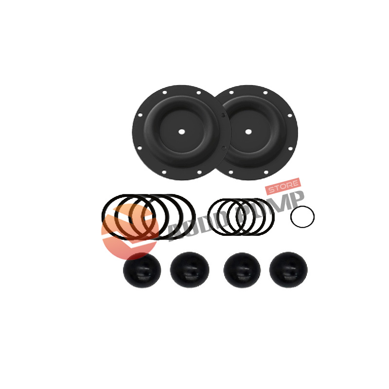 Wet End Kit A637119-22-C Fits ARO 6661XX Pumps