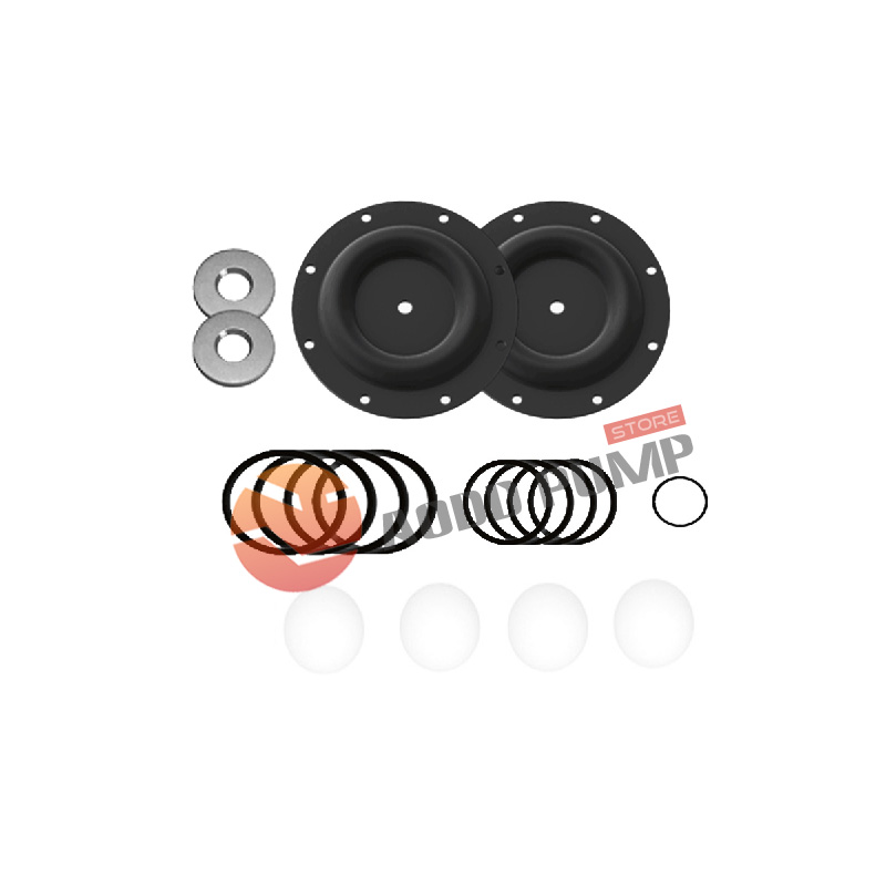 Wet End Kit A637124-62 Fits ARO 66615X Pumps