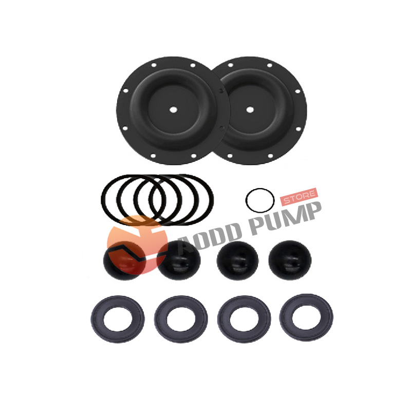 Wet End Kit A637432-G22 Fits ARO 6662XX Pumps