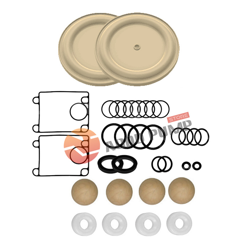 Wet End Kit A637391-AA-SK Fits ARO PD15P Pumps