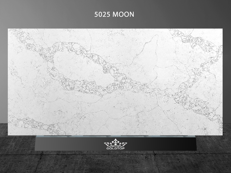 5025 Moon 