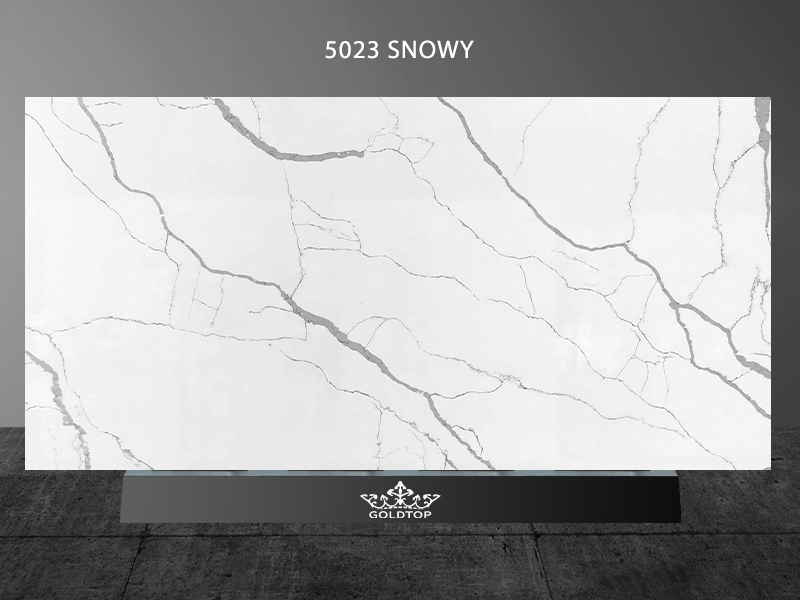 5023 Snowy