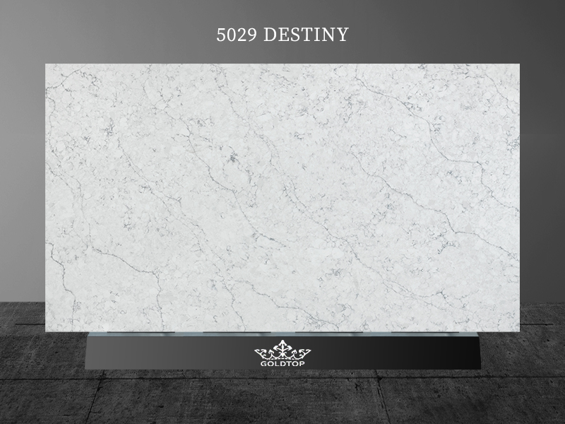 5029 Destiny