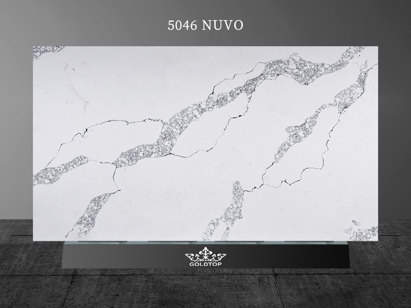 5046 Nuvo