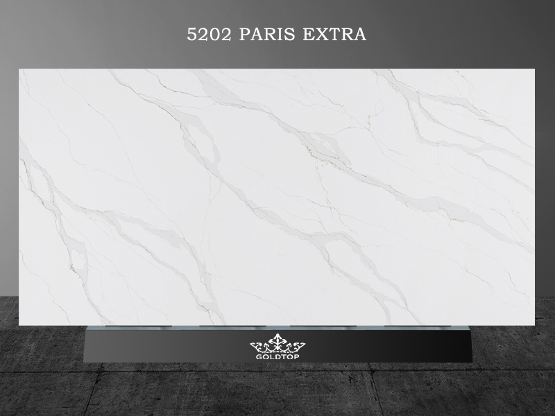 5202 Paris Extra