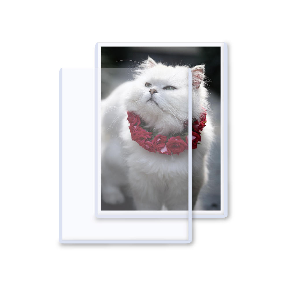 5x7 - Photo Size Toploader Holder