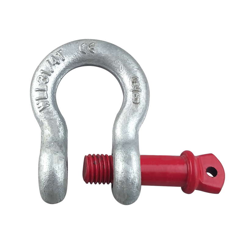 US Type G209 Screw Pin Bow Shackle for Sale