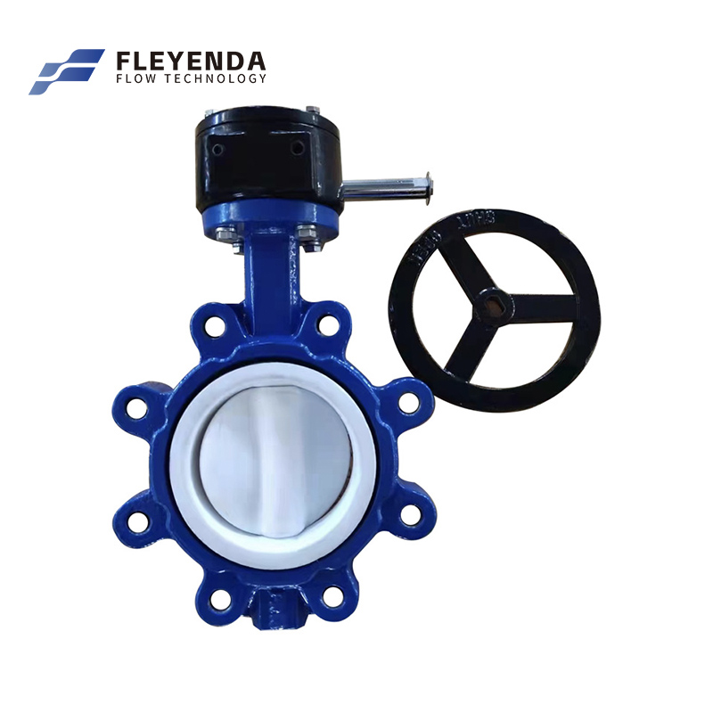 Fleyenda Gear Operated Lug Butterfly Valve