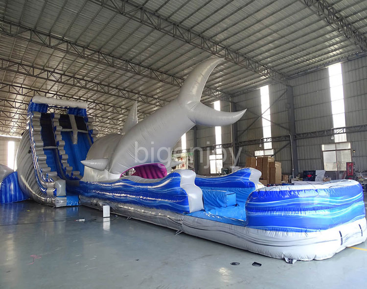 24ft Great long water slide shark inflatable water slides