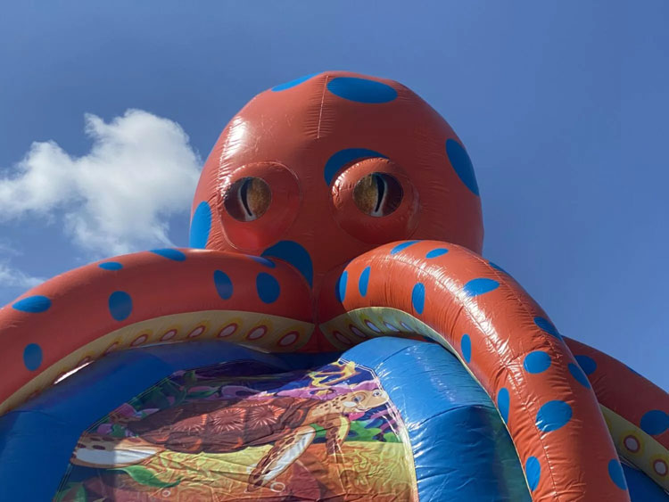 giant inflatable octopus bounce house octopus inflatable slide bouncer combo